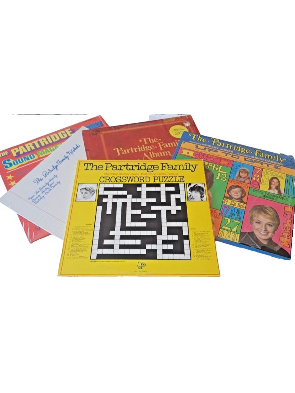 Partridge Family - Lot of 5 Vinyl LPs